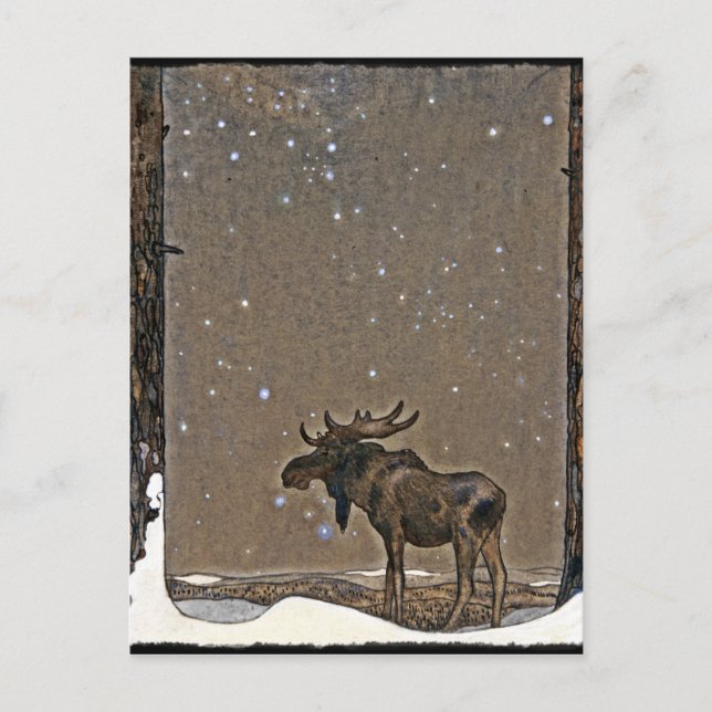 Moose in Snow Postcard (Front)