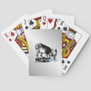 Moose in Stream Playing Cards