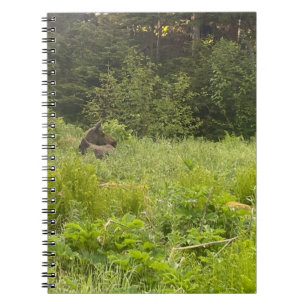 Moose in the Grass Notebook