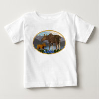 Moose in the Meadow