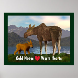 Moose In The Meadow Poster