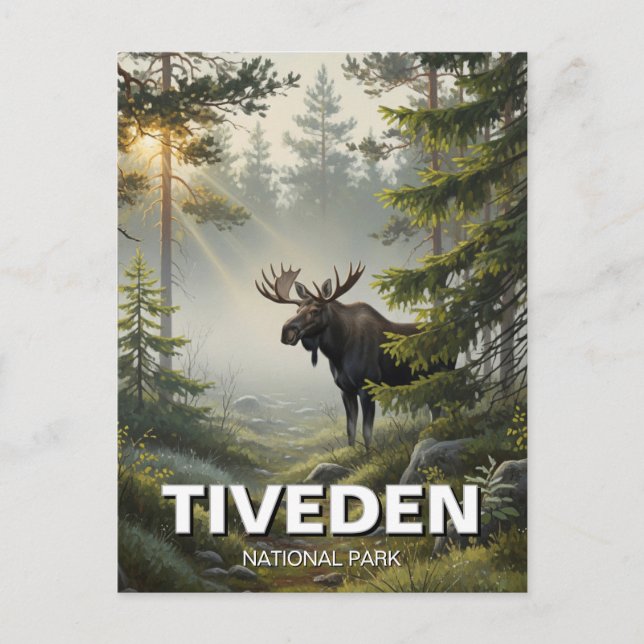 Moose in Tiveden National Park Sweden Travel Postcard (Front)