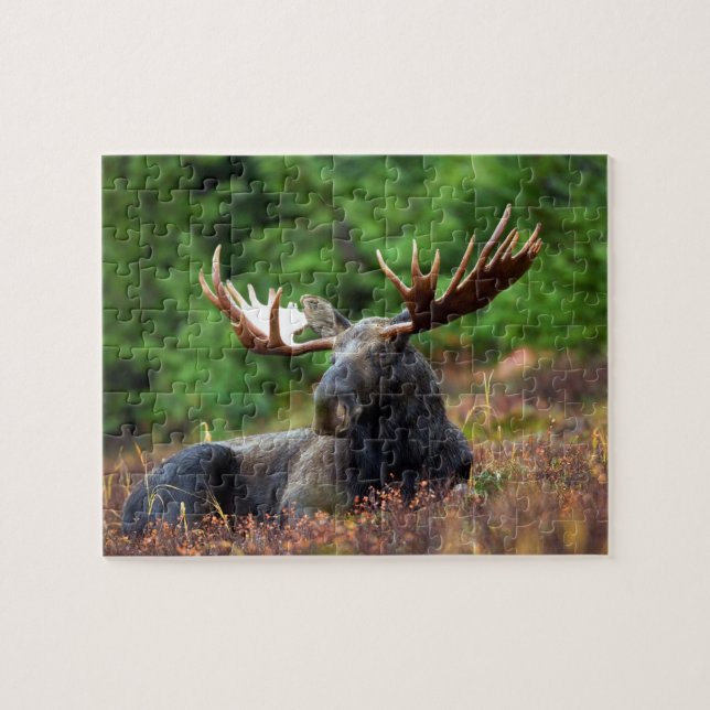 Moose Jigsaw Puzzle (Horizontal)