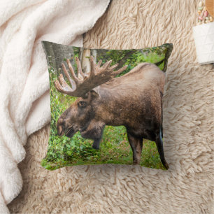 Moose   Kenai Peninsula, Alaska Cushion