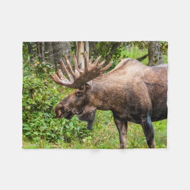Moose | Kenai Peninsula, Alaska Fleece Blanket (Front (Horizontal))
