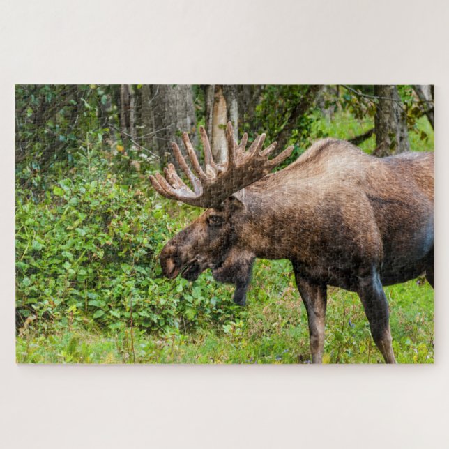 Moose | Kenai Peninsula, Alaska Jigsaw Puzzle (Horizontal)