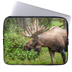 Moose   Kenai Peninsula, Alaska Laptop Sleeve