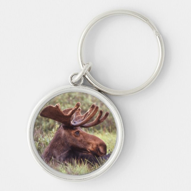Moose Lounging Keychain (Front)