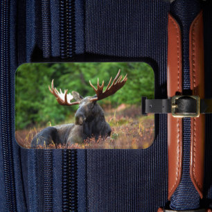 Moose Luggage Tag