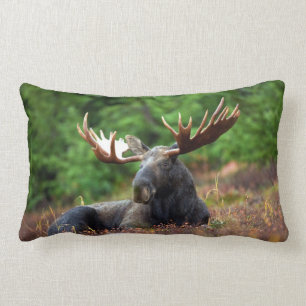 Moose Lumbar Cushion