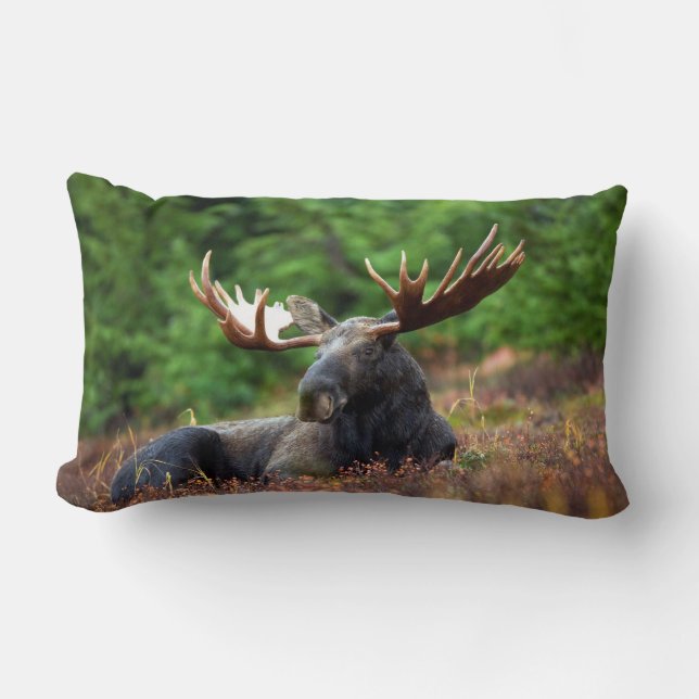 Moose Lumbar Cushion (Front)