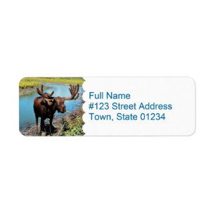 Moose Mailing Label Return Address Label