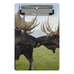 Moose Mini Clipboard