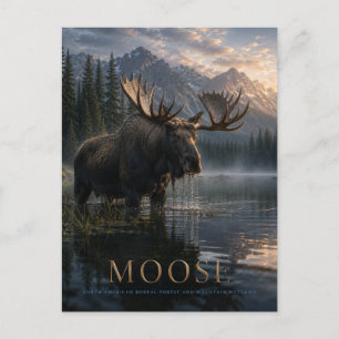 Moose Mountain Lake ANIMALS Postcard