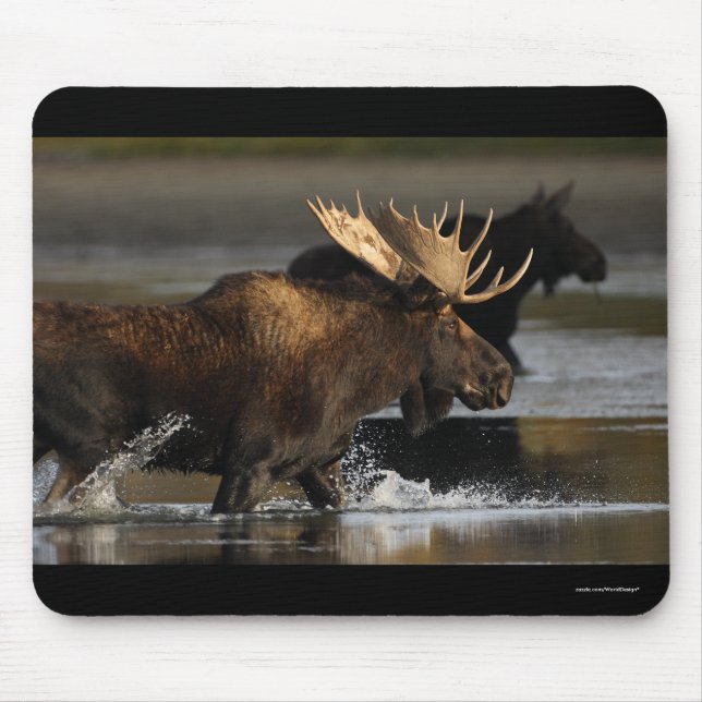 Moose Mouse Pad (Front)
