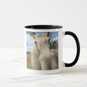 Moose on a field, Sweden. Mug