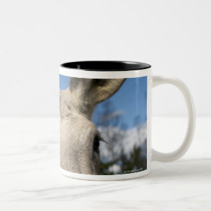 Moose on a field, Sweden. Two-Tone Coffee Mug