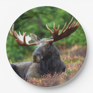 Moose Paper Plate