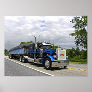 Moose Peterbilt 359 Poster