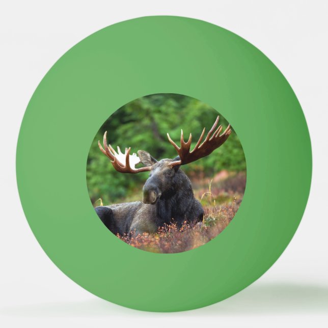 Moose Ping Pong Ball (Front)