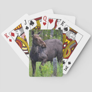 Moose Playing Card