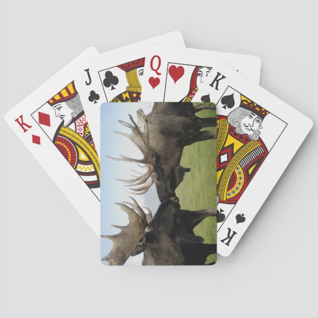 Moose Playing Cards (Back)