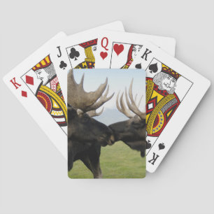 Moose Playing Cards
