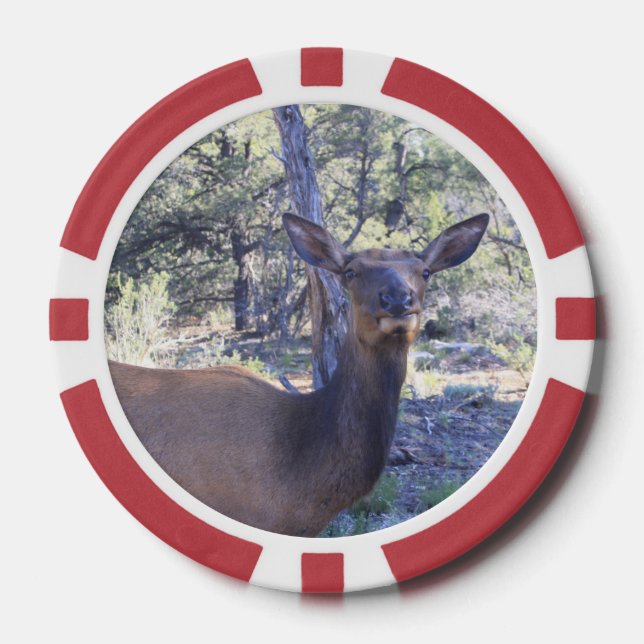 Moose Poker Chips (Front)