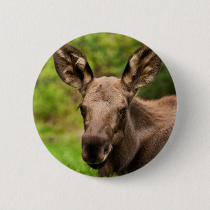 Moose Portrait 6 Cm Round Badge