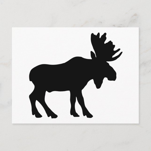 Moose Postcard (Front)