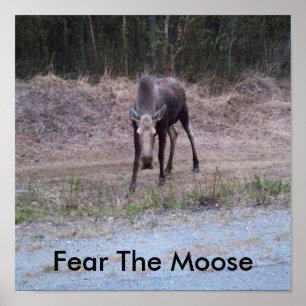 Moose Poster