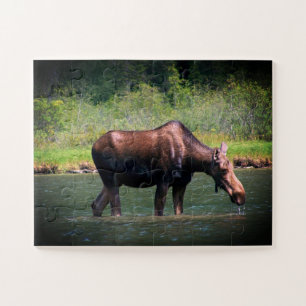 Moose Puzzle