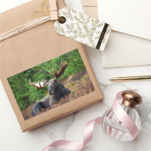 Moose Rectangular Sticker