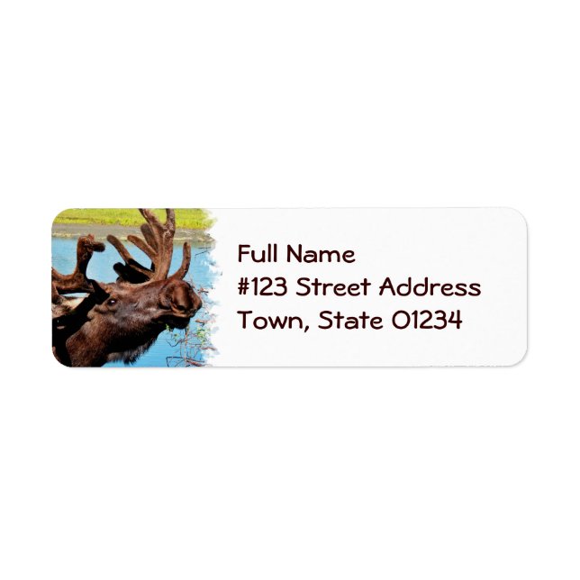 Moose Return Address Label (Front)