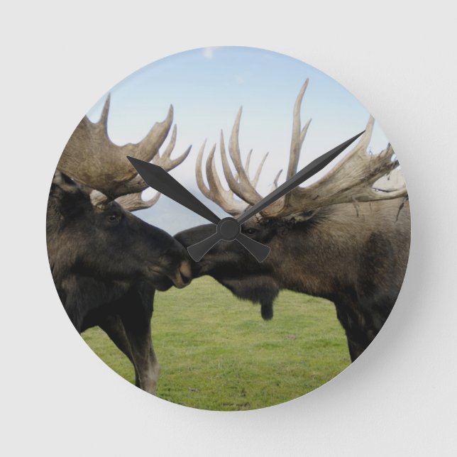 Moose Round Clock (Front)