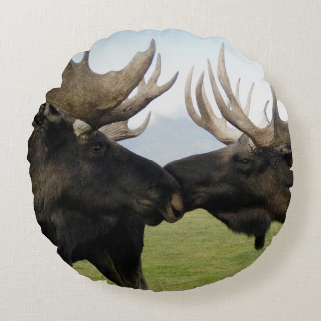 Moose Round Cushion (Front)