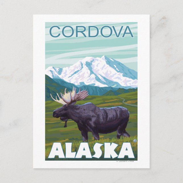 Moose Scene - Cordova, Alaska Postcard (Front)