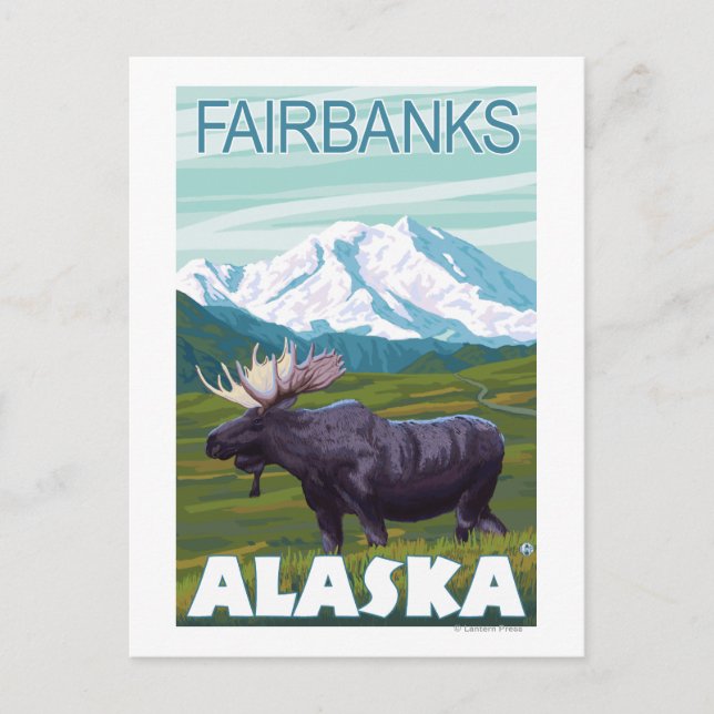 Moose Scene - Fairbanks, Alaska Postcard (Front)