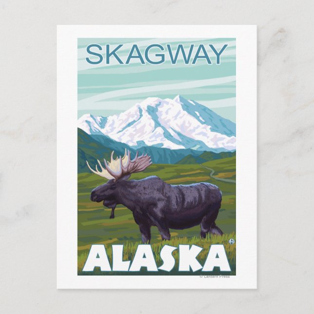 Moose Scene - Skagway, Alaska Postcard (Front)