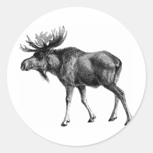 Moose Shirts and Gifts 112 Classic Round Sticker