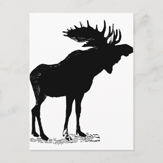 Moose Silhouette Postcard (Front)