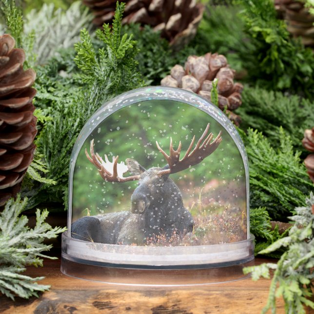 Moose Snowglobe (Winter)