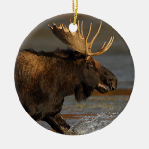 moose splash ceramic tree decoration