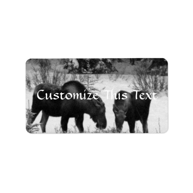 Moose Supper Label (Front)