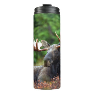Moose Thermal Tumbler