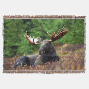 Moose Throw Blanket