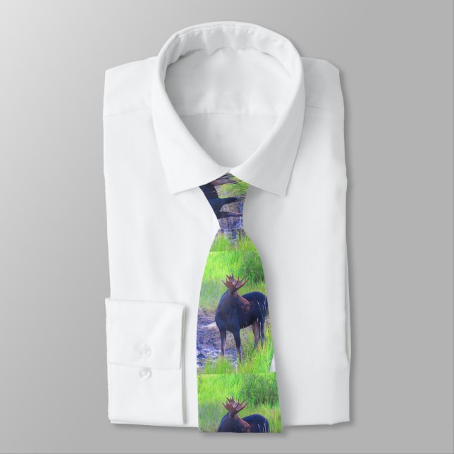 Moose Tie (Tied)