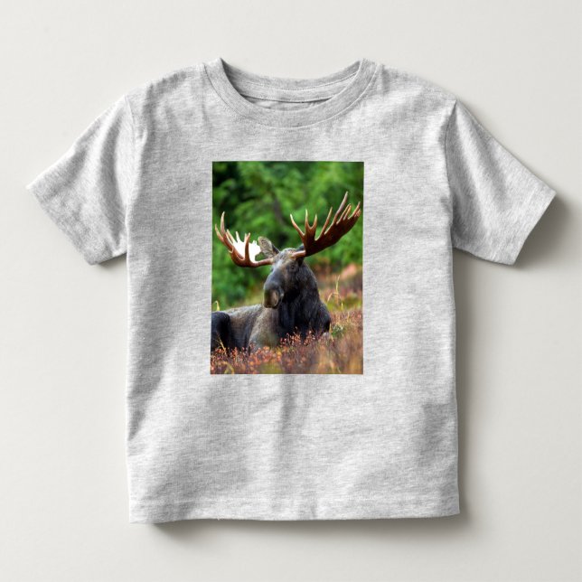 Moose Toddler T-Shirt (Front)