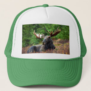 Moose Trucker Hat