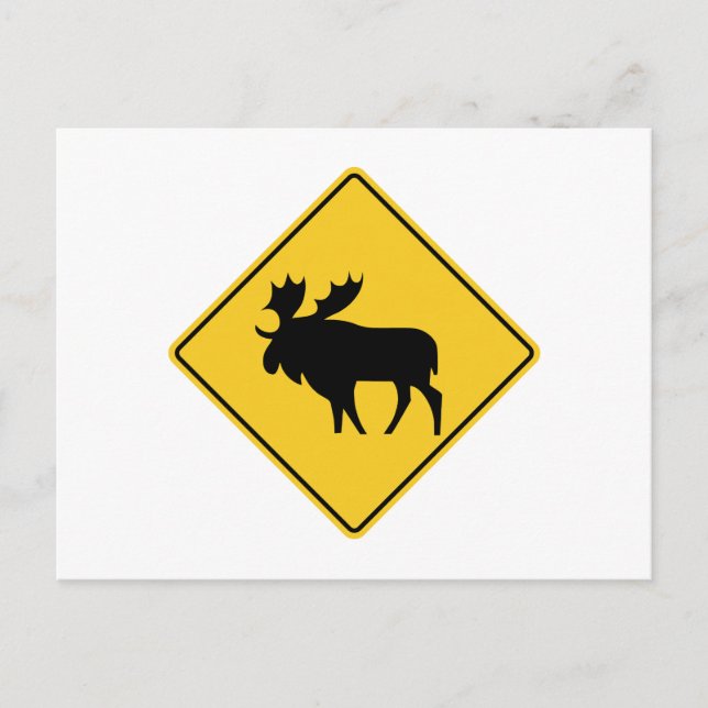 Moose Warning, Road Sign, Canada Postcard (Front)